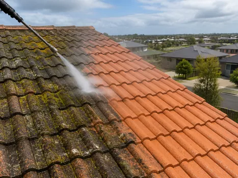 Roof cleaning process for restoration